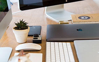 萌宠大丰收活动指南：全新宠物全收录